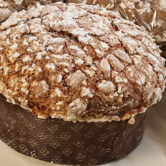 Panettone